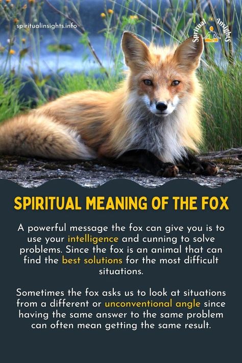 Spiritual Meaning of the Fox Fox Totem Spirit Guides, Fox Spirit Drawing, Fox Meaning, Fox Familiar, Spirit Animal Fox, Fox Symbolism, Animal Totem Spirit Guides, Fox Facts, Witchcraft Stuff