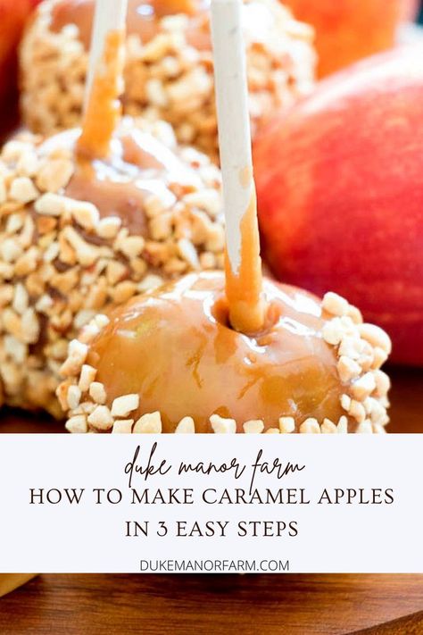 caramel apples plain and with nuts Caramel Apples With Kraft Caramels, Kraft Caramel Apples, Carmel Apple Recipe, Easy Carmel, Easy Caramel Apples, Soft Caramels Recipe, Taffy Recipe, Taffy Apple, Caramel Apples Recipe