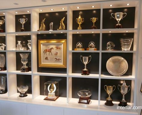 Awards Display Wall, Award Shelves, Trophy Display Shelves, Trophy Cabinets, Diy Trophy, Trophy Display Case, Trophy Wall, Custom Wall Unit, Trophy Shelf