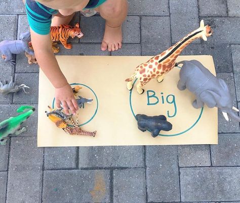 Leopard Activities For Preschool, Opposite Activities For Toddlers, Wild Animals Preschool Activities, Sen Activities, Zoo Activities Preschool, Animal Sorting, Kindergarten Measurement, Opposites Preschool, Zoo Lessons