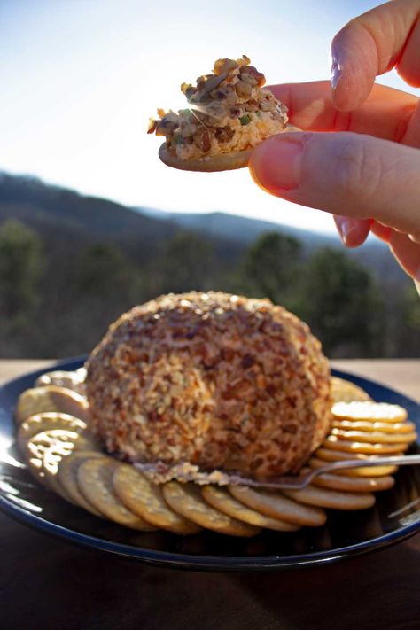 If you are looking for a delicious cheese ball recipe for a party, this smoked cheese ball recipe will be a hit! Let us show you how! Mountain Kitchen, Cheese Ball Recipe, Ball Recipes, Extra Sharp Cheddar, Pork Rub, Smoked Cheese, Cheese Ball Recipes, Garlic Head, Cheese Balls