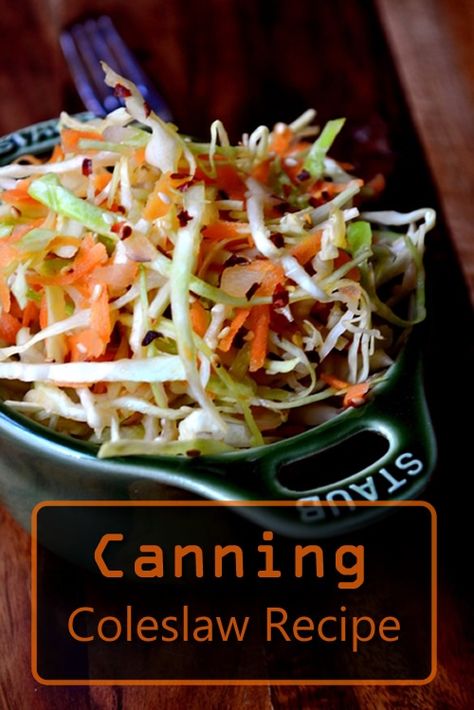 Canning Coleslaw Stewed Tomato Recipes, Pork And Apple Burgers, Canning Stewed Tomatoes, Spiced Red Cabbage, Red Cabbage Slaw, White Cabbage, Pie Filling Recipes, Fresh Dishes, Jalapeno Recipes