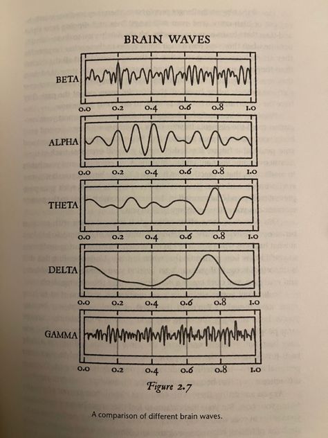 Alpha Frequency, Brain Frequencies, Frequency Waves, Delta Waves, Theta Waves, Healing Journal, Alpha Waves, Physics Notes, Waves Line