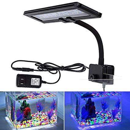 hygger Blue White LED Aquarium Lights, Clip on Fish Tank Lamp Lighting for Coral Planted Aquarium with Gooseneck Clamp (30 LEDs) Freshwater Fish Tank, Aquarium Lamp, Small Led Lights, Aquarium Light, Fish Tank Lights, Led Aquarium, Led Aquarium Lighting, Fresh Water Fish Tank, Reptile Enclosure