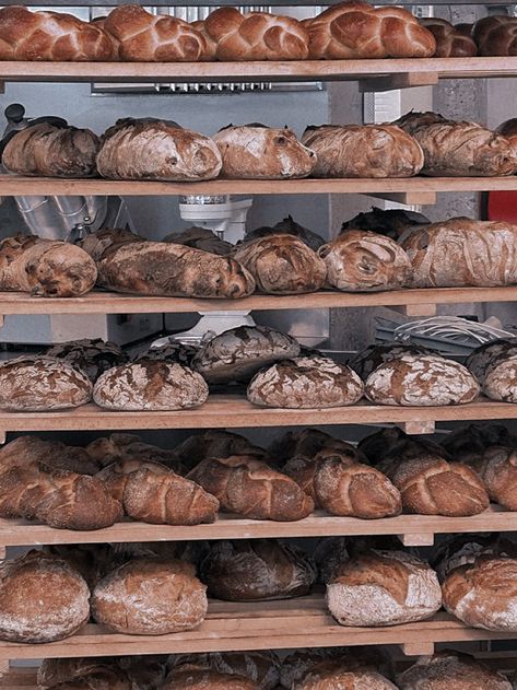 Bread Bakery Aesthetic, Vintage Bakery Aesthetic, Bakery Moodboard, Bakery Aesthetic, Patisserie Cake, Artisan Bakery, Vintage Bakery, Cute Bakery, Bread Shop