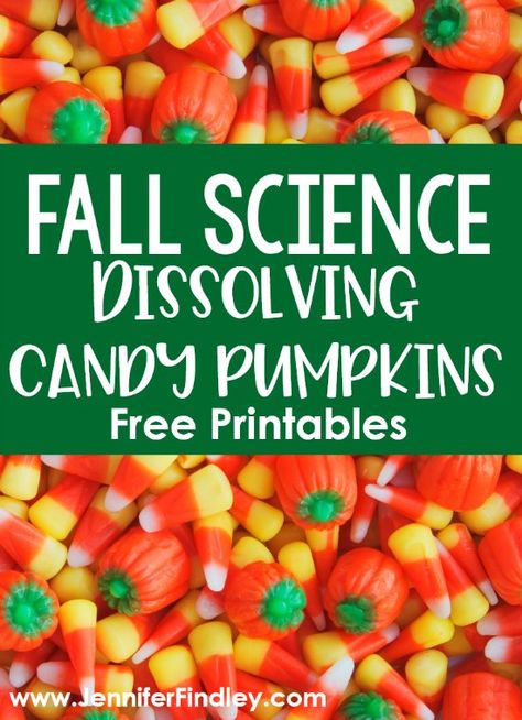 Posters For Teachers, Pumpkin Science Experiment, Candy Science Experiments, Candy Pumpkins, Motivational Quotes For Teachers, Pumpkin Science, Candy Science, Jennifer Findley, Quotes For Teachers