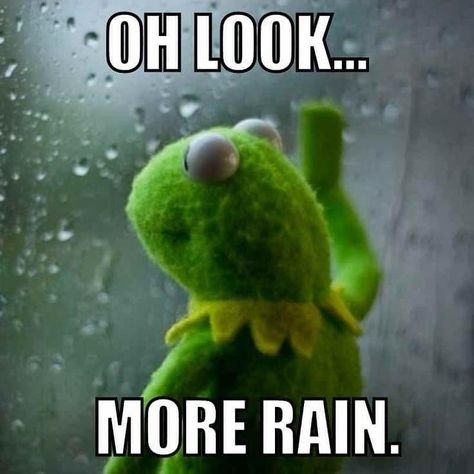 Funny Rain Quotes, Rain Memes, Rain Humor, Rain Meme, Rainy Day Quotes, Weather Memes, Funny Weather, Stop The Rain, Rain Quotes