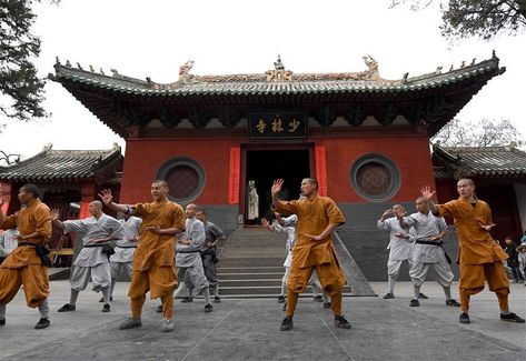 Shaolin Monastery, China Vacation, Chemistry Posters, Shaolin Temple, Shaolin Monks, Lol Champions, Martial Arts Techniques, Temple Art, Zhengzhou