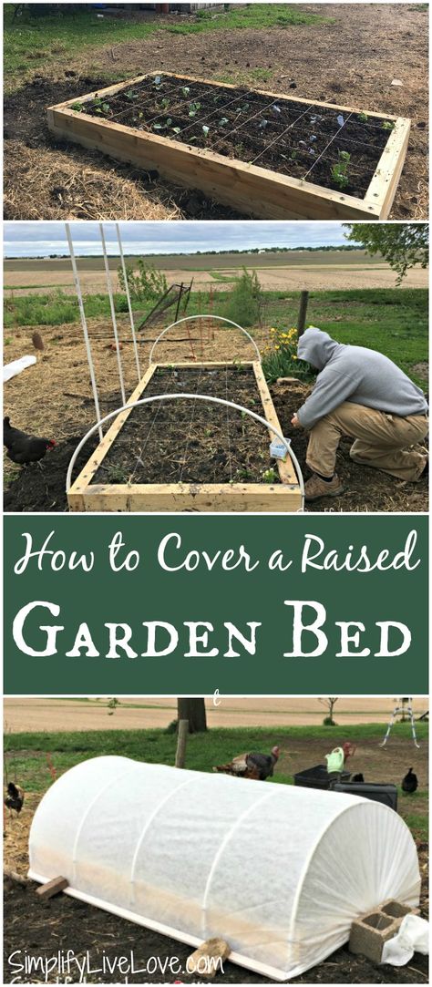 Stock Tank Garden Raised Beds, Raised Bed Vegetable Garden Layout, Stock Tank Gardening, Urban Garden Design, Vegetable Beds Raised, Vegetable Garden Raised Beds, Garden Layout Vegetable, Diy Raised Garden, Veg Garden