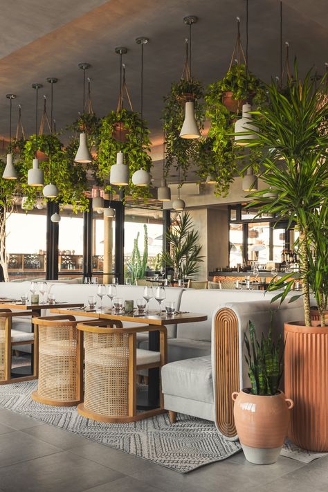 Restaurant With Plants, Boutique Hotels Design, Decoration Restaurant, Hospital Interior Design, Modern Restaurant, Office Snapshots, Cafe Interior Design, Salou, Restaurant Interior Design