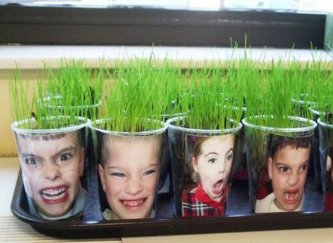 Grass Heads | Minnesota Farmers Feed US Grass Heads, Ag In The Classroom, Gardening Club, Preschool Garden, Weck Jars, Homeschool Crafts, Plant Projects, Creative Curriculum, Outdoor Classroom