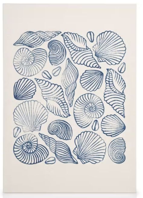 Seashell Design Drawing, Seashell Graphic Design, Jellyfish Design Illustration, Seashell Art Drawing, Sea Doodle Art, Printmaking Art Ideas, Sea Urchin Drawing, Coastal Drawings, Mermaid Elements