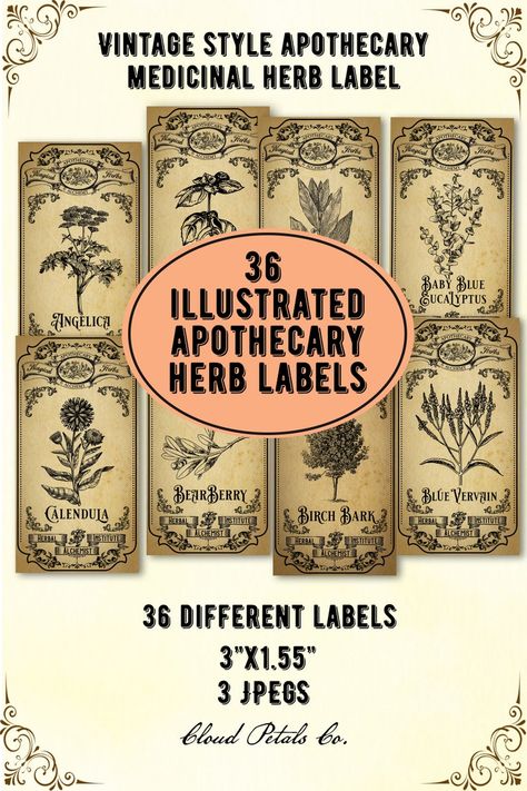 Vintage style apothecary label medicinal herbs Apothecary Aesthetic Kitchen, Witch Kitchen Decor, Apothecary Aesthetic, Kitchen Witch Decor, Witch Kitchen, Apothecary Shop, Herb Labels, Witchcraft Herbs, Herb Jar