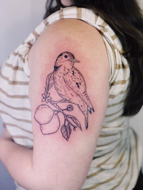 Meadowlark Tattoo, Lemon Branch Tattoo, Nerd Tattoos, Tattoo Mistakes, Lemon Branch, Nerd Tattoo, Branch Tattoo, Ink Inspiration, Traditional Ink