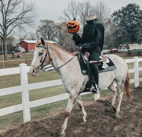 halloween headless horseman costume Horses Costumes Halloween, Headless Horseman Costume, Sleepy Hollow Halloween, Horse Halloween Costumes, Headless Horseman, Horse Costumes, Sleepy Hollow, Trunk Or Treat, Quarter Horse