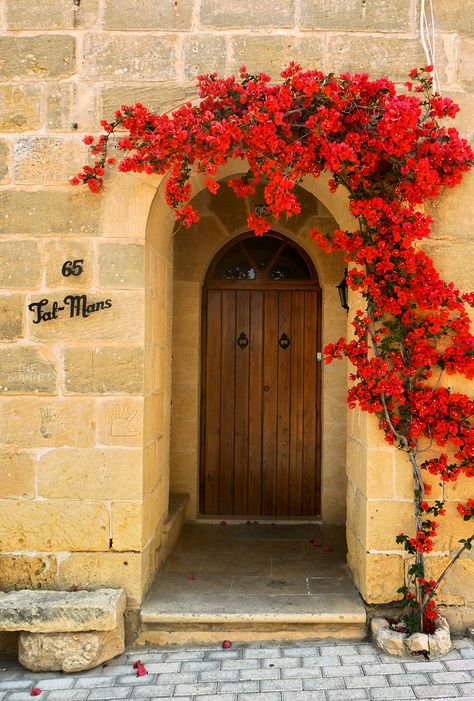 Arched Front Door, Garden Fence Ideas, Wood Arch, Cool Doors, House Front Door, Fence Ideas, Old Doors, Unique Doors, Bougainvillea