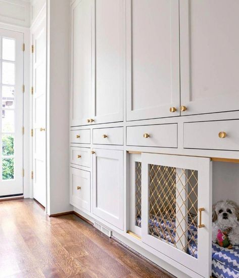 dog room modern #dogroommodern Custom Dog Houses, Mudroom Design, Dog Rooms, Laundry Mud Room, Laundry Room Design, Dog Houses, Dog Crate, Built Ins, Decor Interior Design