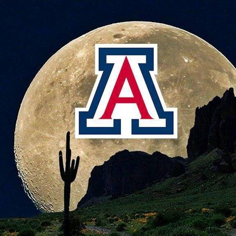 .... U Of Arizona, Asu Graduation, Arizona Wildcats Logo, Az Cardinals, Country Vibe, Wildcats Logo, College Closet, Wildcats Basketball, Football College