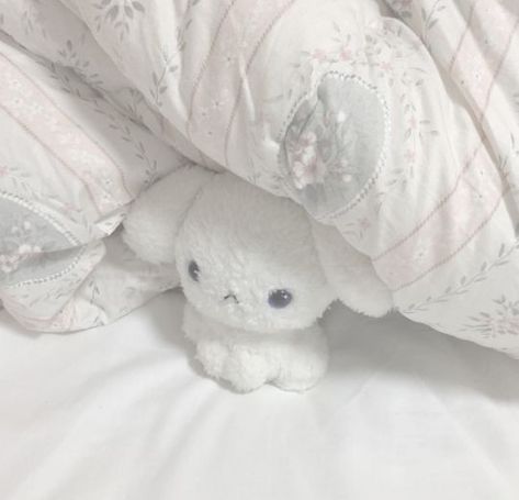 (๑♡⌓♡๑) Stuffed Animal, Teddy Bear, Bed, White