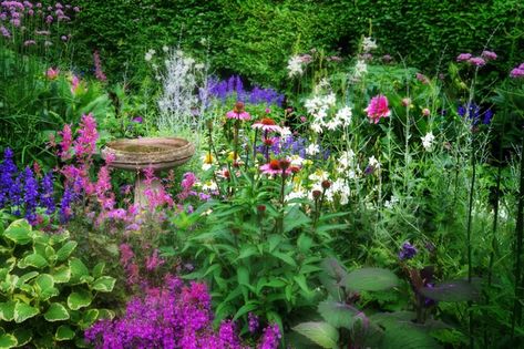 My Design Tips for a Cottage Garden Biodiversity Garden, Cottagecore Garden, Entertaining Dinner, Meadow Garden, Gardening Trends, Container Gardening Flowers, Cottage Garden Plants, Holiday Planning, Foliage Plants