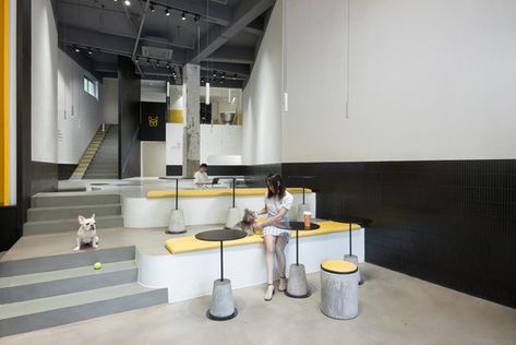 Nova Pets Store / say architects | ArchDaily Pet Store Design, Pet Cafe, Cafe Area, Dog Hotel, Pet Hotel, Coffee With Friends, Function Room, Retail Design Blog, Commercial Interior Design