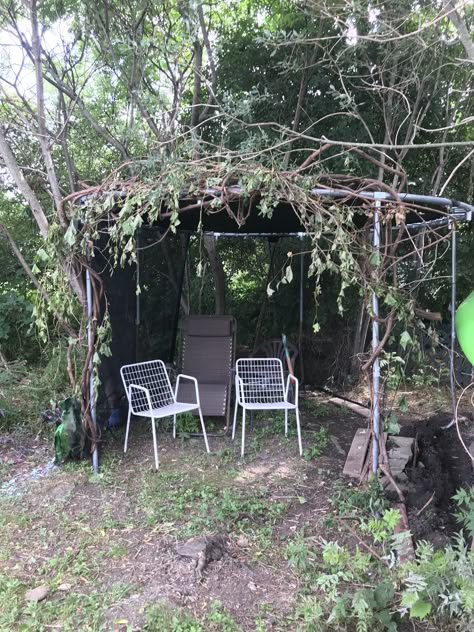 Here’s the start of our trampoline gazebo. The end goal is to have it completely covered by vines and tree/ driftwood so it completely blends in with the rest of this woodsy area. I’m hoping posting a picture will help to motivate the camouflage. If nothing else perhaps it can help inspire someone else looking to repurpose their trampoline Repurpose Trampoline Ideas, Trampoline Pergola, Repurposed Trampoline, Yard Hacks, Trampoline Ideas, Trampoline Bed, Flower Archway, Old Trampoline, Backyard Sitting Areas