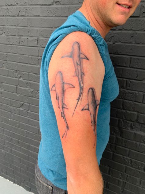 Lemon Shark Tattoo, Gummy Shark, Lemon Shark, Bible Tattoos, Shark Tattoo, Shark Tattoos, Cute Tiny Tattoos, Life Tattoos, Tiny Tattoos