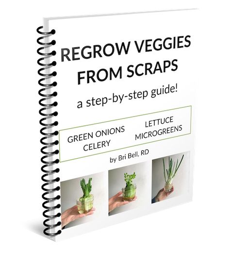 How to Store Green Onions: Reviewing 5 Ways From Best to Worst • Frugal Minimalist Kitchen How To Regrow Celery, Store Green Onions, Frugal Minimalist, Regrow Celery, Growing Lettuce Indoors, Regrow Green Onions, Celery Plant, Green Onions Growing, Growing Celery