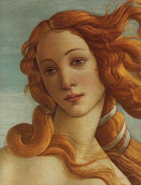 Detail of Sandro Botticelli's Birth of Venus. I've seen the original, which hangs in the Uffizi Gallery in Florence. Botticelli Art, Botticelli Paintings, Istoria Artei, Birth Of Venus, Sandro Botticelli, Historical Painting, Have Inspiration, Famous Art, Classical Art