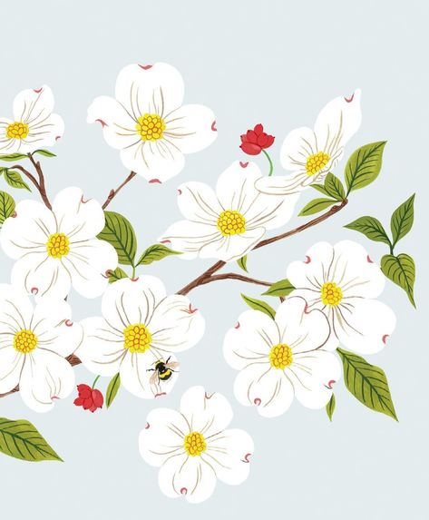 Oana Befort on Instagram: “Dogwood blooms for Earth Day. 🌿” Oana Befort, Bottle Paint, Dogwood Blooms, Dogwood Flowers, Bottle Painting, Earth Day, Floral Designs, Paint Designs, Mug Designs