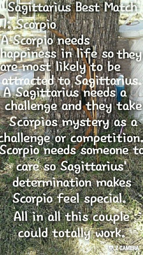 Sag And Scorpio Relationship, Sagittarius Scorpio Compatibility, Sagittarius And Scorpio Relationship, Scorpio And Sagittarius Relationship, Scorpio And Sagittarius Compatibility, Sagittarius Quotes Facts, Scorpio And Sagittarius, Scorpio Relationships, Sagittarius Compatibility