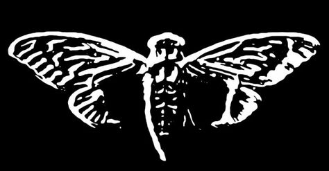 The Eerie Enigma of Cicada 3301 | Mysterious Universe Cicada 3301, Internet