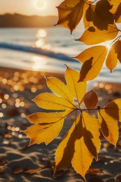 Autumn in Spain brings warm colours, sunny days, and cool but cosy nights. Enjoy the season without the need for heavy coats. 🍂🌞🧥 #AutumnWithoutCold #SunnyDays #WarmColours #CozyAmbiance Warm Colours, Sitges, Warm Autumn, Warm Colors, Last Minute, Sunny Days, Need To Know, Spain, Villa