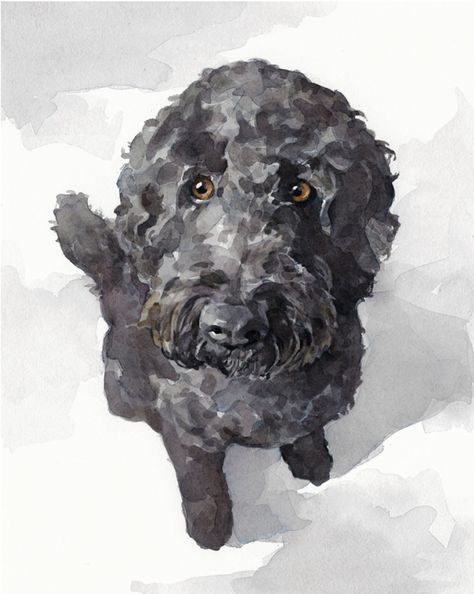 Labradoodle Watercolor, Labradoodle Painting, Doodle Dog Art, Labradoodle Art, Goldendoodle Art, Black Labradoodle, Dog Portraits Painting, Portuguese Water Dog, Golden Doodle