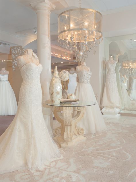 Bridal Shop Interior, Bridal Shop Decor, Bridal Shop Ideas, Sorella Vita Bridesmaid Dresses, Bridal Boutique Interior, Wedding Dress Boutique, Wedding Salon, Wedding Dress Store, Wedding Dress Boutiques