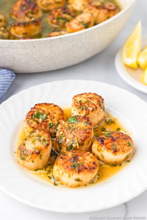 These crusted Seared Scallops are basted with a fresh lemon garlic butter pan sauce for an easy and impressive seafood dish. #scallops #searedscallops #seafoodrecipes #lemonbutter #scallopswithlemon #cookedscallops pansearedscallops Homemade Jambalaya, Grilled Trout, Melissas Southern Style Kitchen, Lemon Garlic Butter Sauce, Seafood Sushi, How To Cook Scallops, Grilled Scallops, Dried Scallops, Pan Seared Scallops