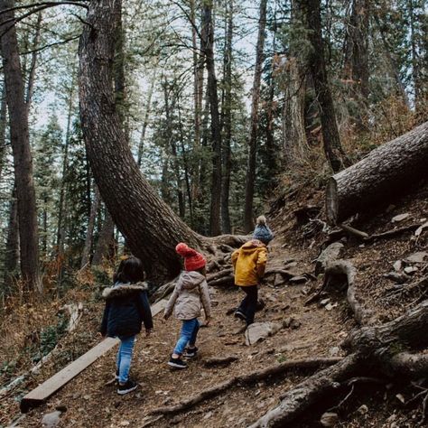 Family Hiking, Fall Things, Fall Bucket List, State Of Texas, Forest School, The Editor, Diy Home Improvement, Future Life, Family Activities