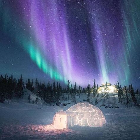 Mary Wld (@wld.mary) on Instagram Glowing igloo and Aurora Borealis. Lights In The Sky, Christmas Lights Background, Christmas Lights Wallpaper, Aurora Lights, Lights Wallpaper, Northern Lights (aurora Borealis), Aurora Borealis Northern Lights, Lake Lodge, Text Overlay