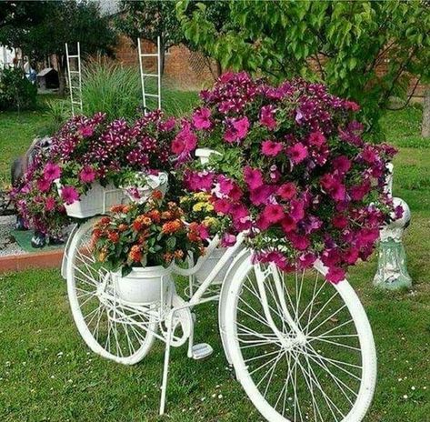 17 Super ideas for garden decorations made from old bicycles | My desired home Small Front Yard Landscaping, نباتات منزلية, Secret Gardens, Have Inspiration, Diy Yard, Garden Yard Ideas, Garden Art Diy, Camping Ideas, Cool Diy Projects