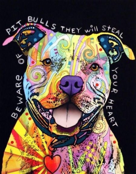 Pit Bull Awareness Month Smiling Pitbull, Cute Canvas Art, Dean Russo Art, Diamond Sticker, Pitbull Art, Staffordshire Bull Terriers, Abstract Portrait Painting, Dean Russo, All About Dogs