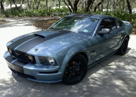 05 Mustang, 2005 Mustang Gt, 1979 Mustang, 2009 Mustang, 2005 Mustang, Mustang Engine, Blue Mustang, Mustang Bullitt, Mustang Gt500