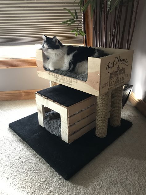 Kitty condo made with wine crate, wood crate, round wood posts, rope and carpet remanent. (Featuring Rocco The Cat) Kitty Condo, Katt Diy, Katt Grejer, Kat Diy, Chat Diy, Diy Cat Tree, Crate Diy, Cat House Diy, Diy Cat Toys