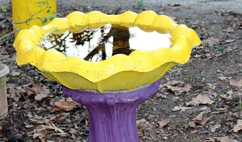 How to Paint Concrete Bird Baths - The Nutty Birdwatcher Concrete Bird Bath Makeover Paint, Painted Bird Bath Ideas, Painted Birdbath Ideas, Painting A Bird Bath, Bird Bath Painting Ideas Concrete, How To Paint Concrete, Stone Bird Baths, Paint Concrete, Bird Fountain