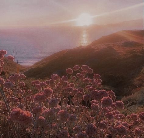 Flores Aesthetic, Mountains Aesthetic, You Are The Sun, + Core + Aesthetic, Aesthetic Girl, Natural Landmarks, Water, Flowers, Pink