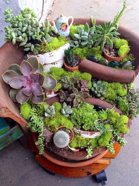 Fairy Gardens with Succulents from Broken Pots - See more at: http://worldofsucculents.com/fairy-gardens-succulents-broken-pots Zen Trädgård, Broken Pot Garden, Fairy Garden Diy, Cactus Y Suculentas, Succulents Diy, Miniature Fairy Gardens, Garden Lovers, Miniature Garden, Mini Garden