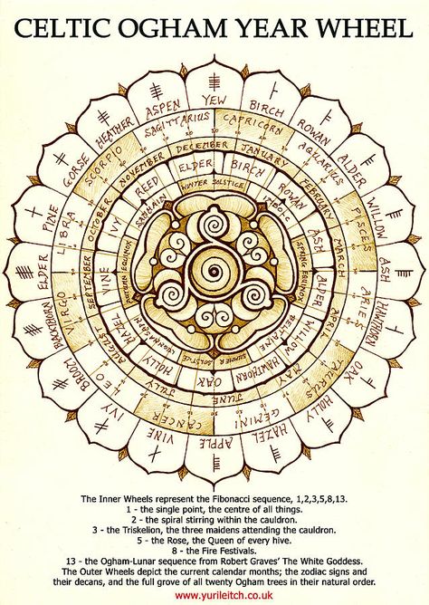 Roue Ogham de l'année celtique                                                                                                                                                                                 Plus Year Wheel, Celtic Ogham, Celtic Paganism, Wheel Art, Celtic Mythology, Medicine Wheel, Celtic Tree, Celtic Symbols, Celtic Art