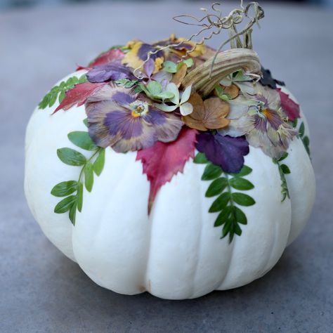 Floral pumpkins Halloween Decoupage, Decoupage Pumpkins, Decorated Pumpkins, Pumpkins Decor, Diy Pumpkins, Garden Answer, Floral Halloween, Tall Pumpkin Carving, Beautiful Pumpkins