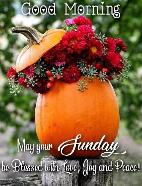 Good Morning Happy Weekend, Good Morning Sister Quotes, Flower Pumpkin, Happy Sunday Images, Good Morning Sunday, Good Morning Sunday Images, Happy Sunday Morning, Good Morning Image, Sunday Morning Quotes