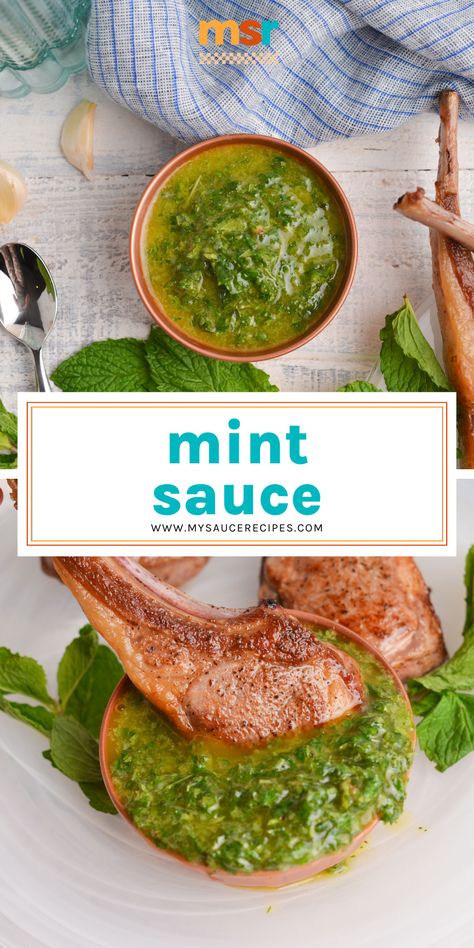 Indian Mint Sauce, Mint Sauce Recipe, Mint Recipes Fresh, Kebab Sauce, Mexican Mole, Homemade Tzatziki Sauce, Mint Salad, Salad Dressing Recipes Homemade, Mint Sauce