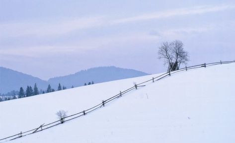 *🇺🇦 Snowy field in the Carpathians (Ukraine) by Dmitry Pozharsky // Снежное поле в Карпатах (Украина) автор Дмитрий Пожарский ❄️🌅 E Snowy Field, Christmas Challenge, Twelve Days Of Christmas, Winter Trees, Belarus, Shadow Box, Ukraine, Photographer, Photography